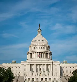 Photo of the capitol by day